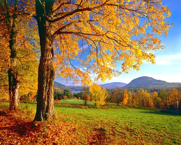 Бабье лето природа