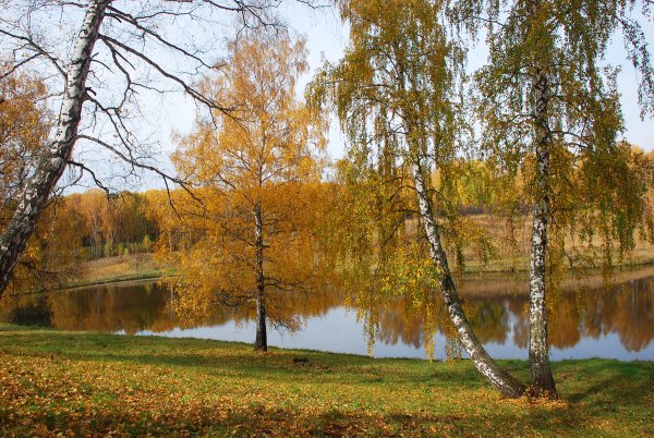 Лето осень