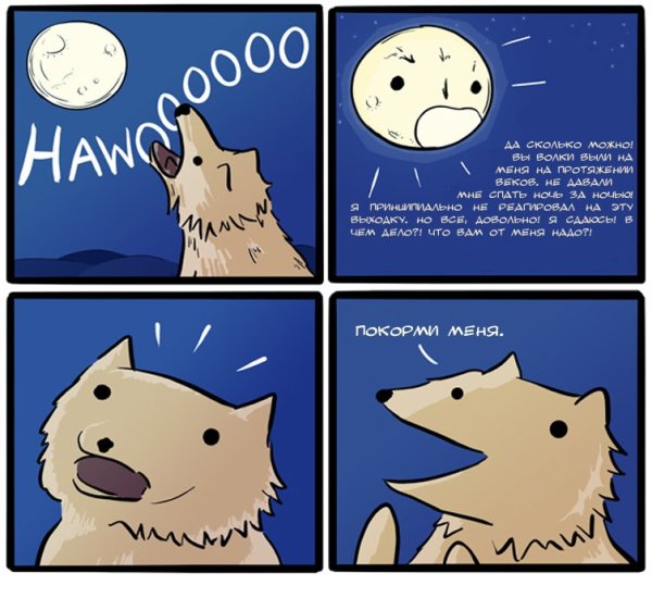 Волк воет на луну Мем