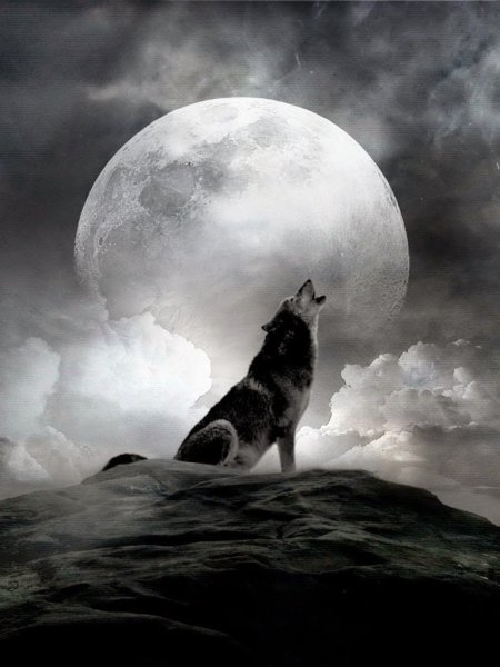 Мужик воет на луну