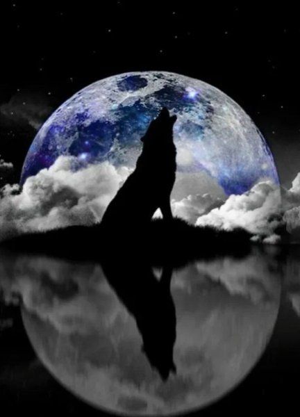 Собака воет на луну