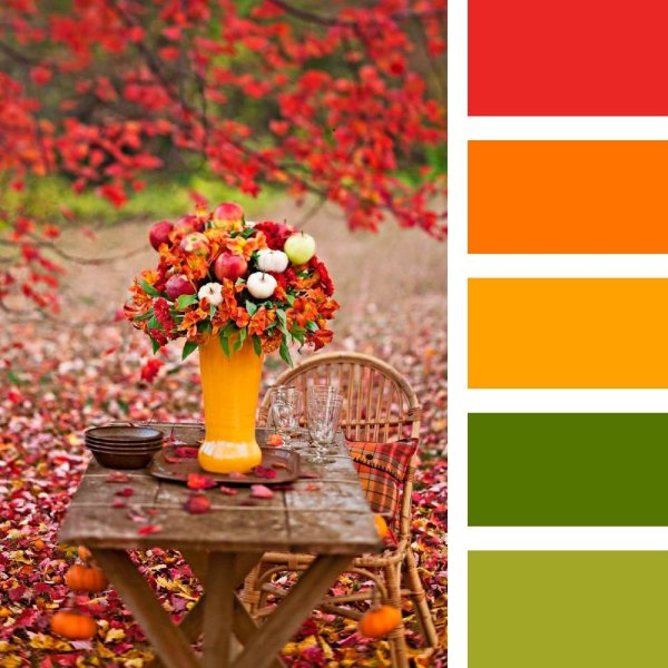 Цветы сочетание