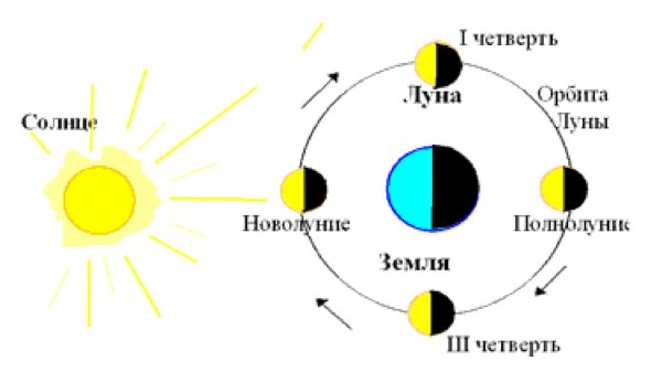 Схема движения Луны вокруг солнца