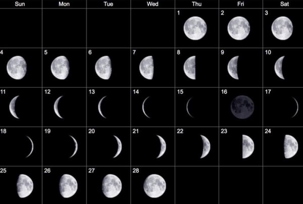 Moon phases Lunar Calendar 2022