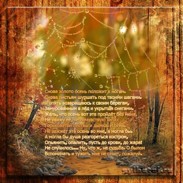Осенние стихи