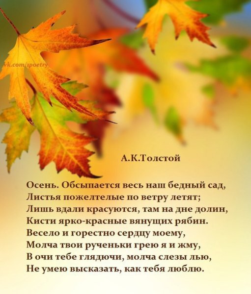 Осенние высказывания