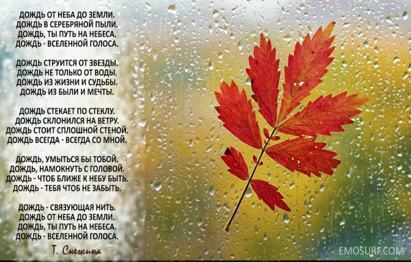 Дожди: стихи