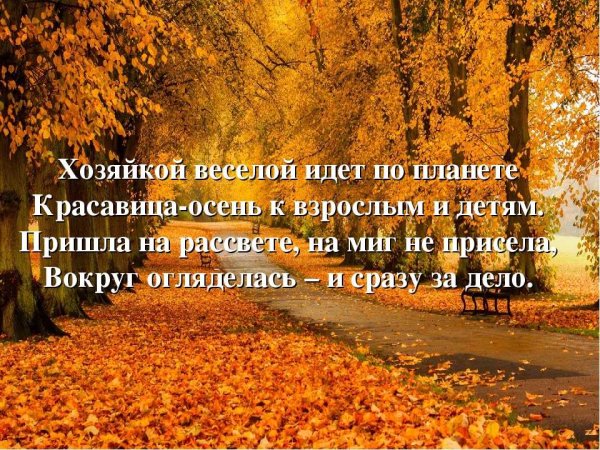 Стихи про осень красивые