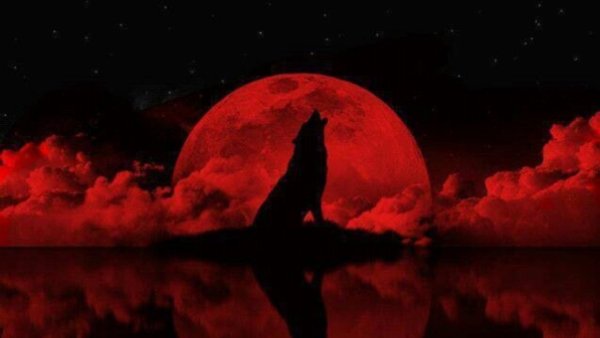 Волк и красная Луна