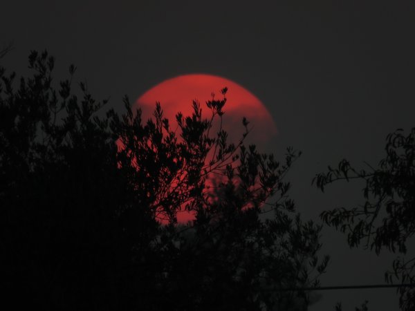 Кровавая Луна 2022