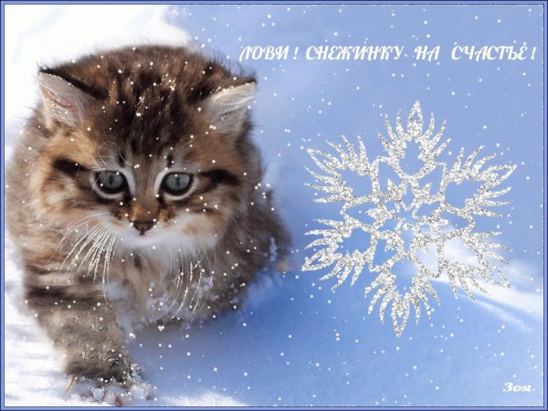 Открытки со снегом