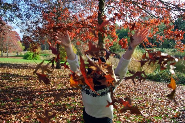 С последними выходными осени