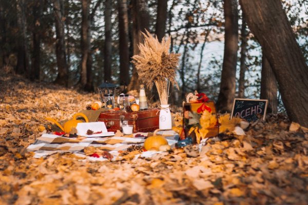 Осенний пикник