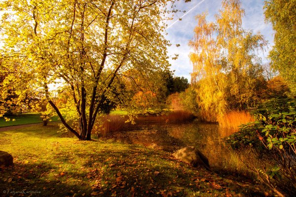 Отличных выходных природа осень