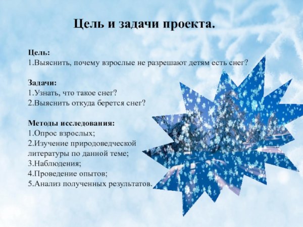 Что такое снег цель задачи