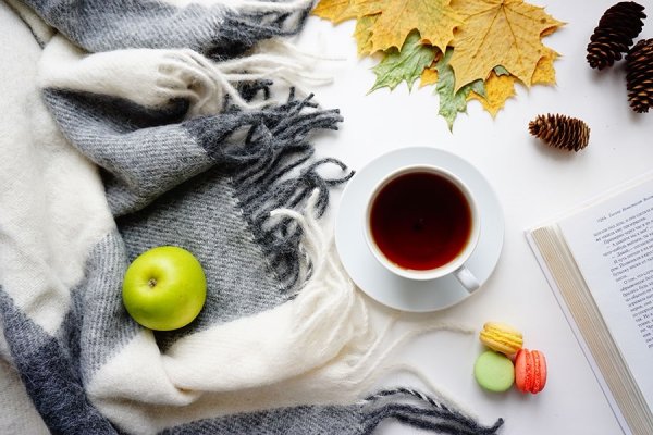 Осень чай плед