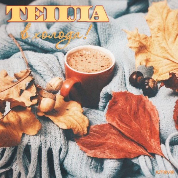 Холодное осеннее утро