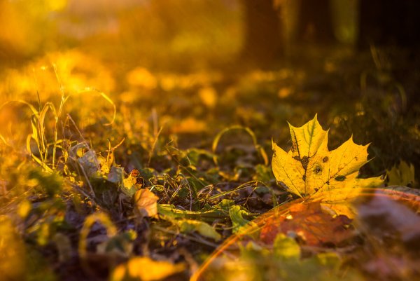 Красивая теплая осень