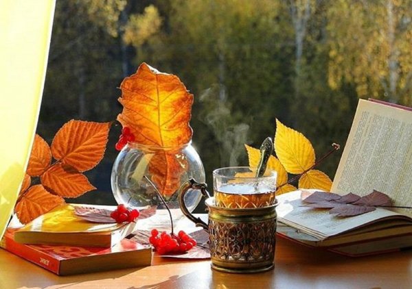 Уютная осень