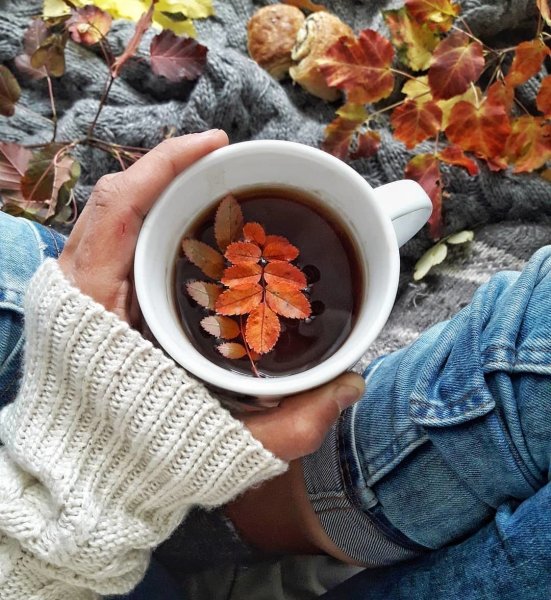 Осенняя Кружка чая