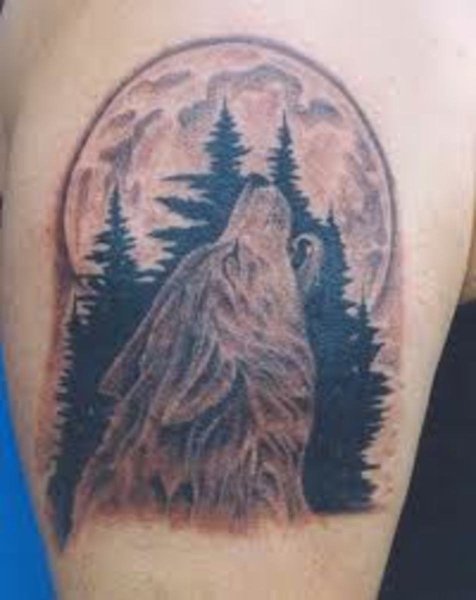 Татуировка волк воет на луну