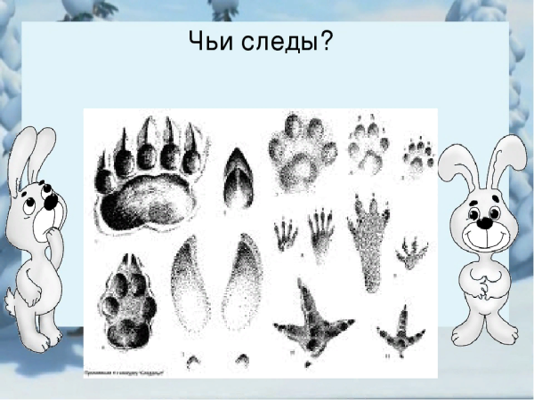 Игра Угадай чьи следы