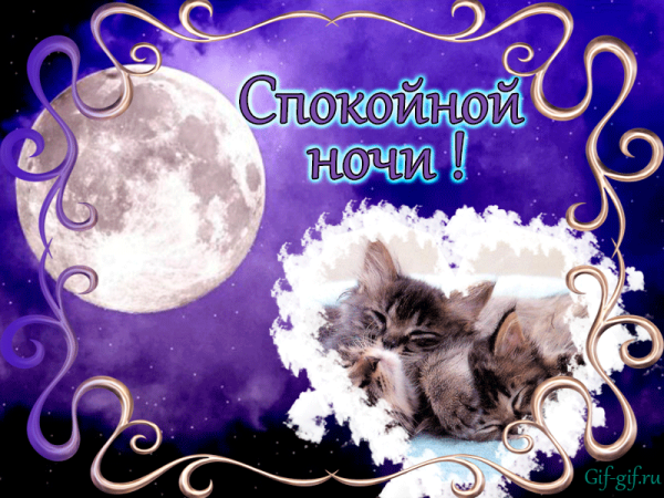 Спокойной ночи сладких снов