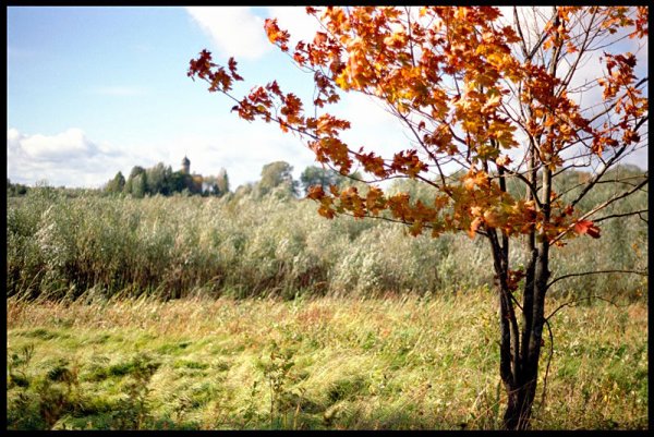 Сильный ветер осенью