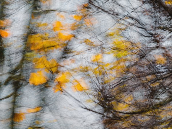 Осень ветер