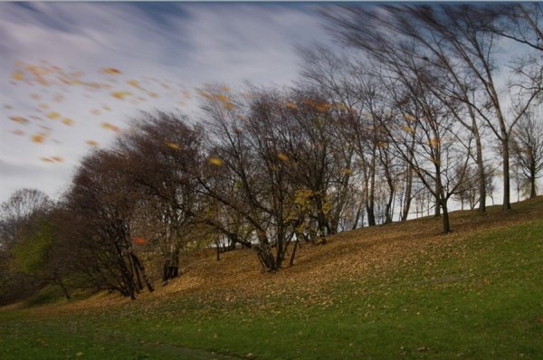 Осенний ветер