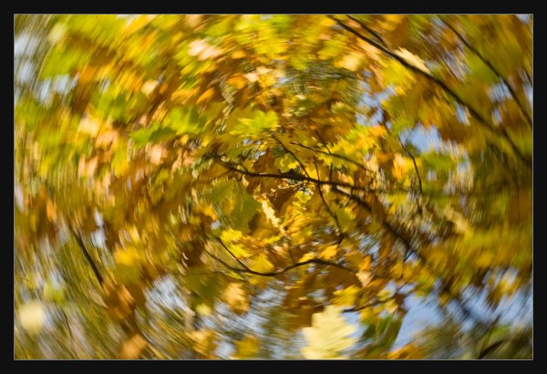 Осенний Вихрь