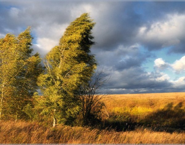 Осень ветер