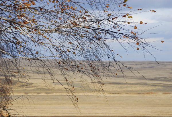 Сильный ветер поздняя осень