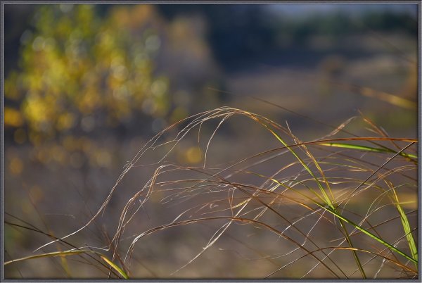 Дуновение осени
