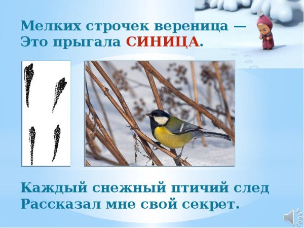 Следы синицы на снегу