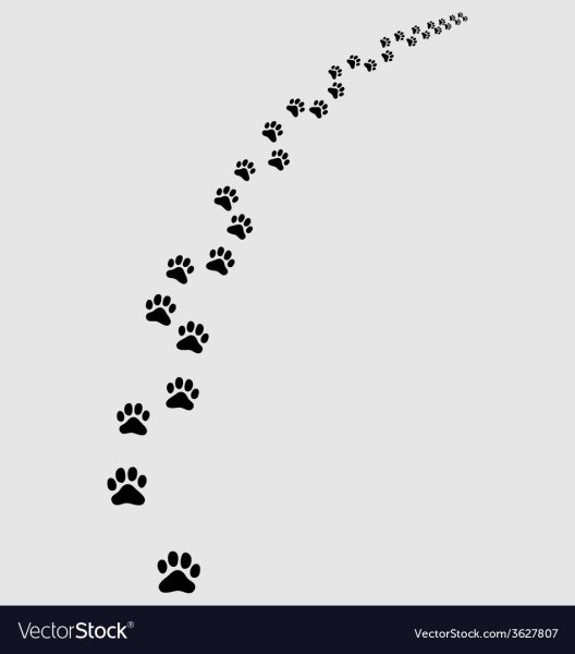 Цепочка крысиных следов