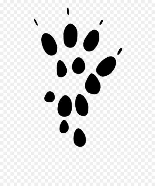 Следы зверей