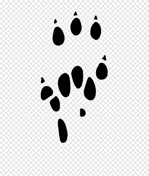 Отпечатки следов животных