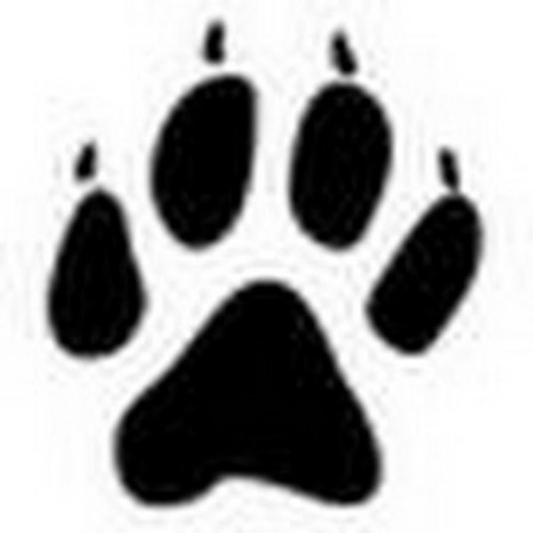 Отпечаток лапы мыши