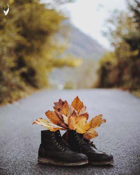 Туфли в листьях