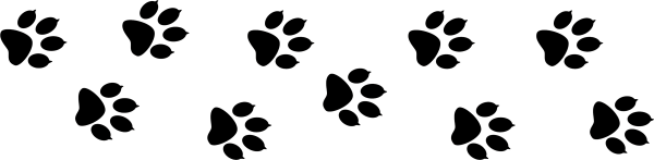 Следы зверей на белом фоне