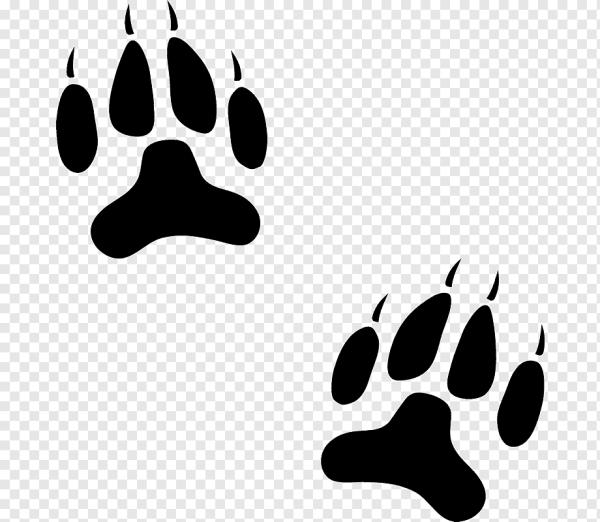 Следы животных