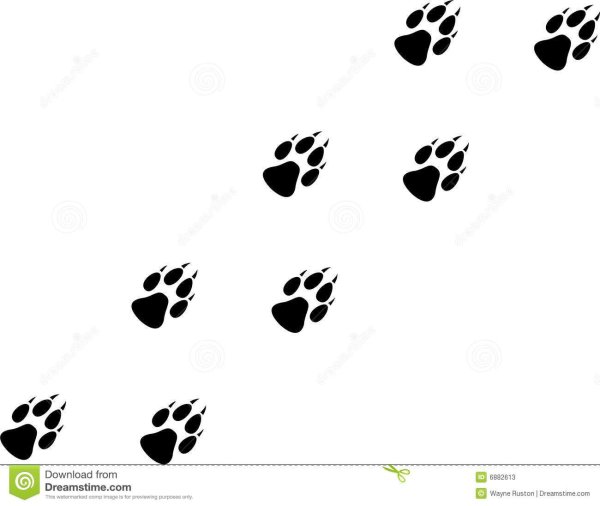 Отпечаток волчьей лапы