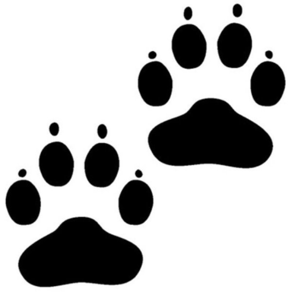 Наклейки кошачьих лап