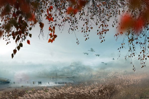 Игорь Зенин осень фотохудожник