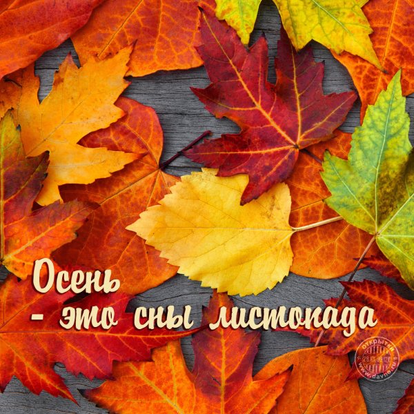 Осень это сны листопада