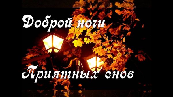 Спокойной ночи осенней ночи