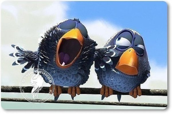 Птичка из мультика