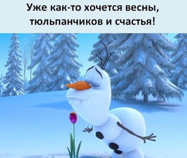 Снежок белая Метелица