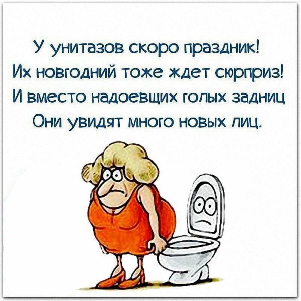 У унитазов скоро праздник их новогодний